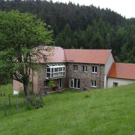Gite Gretel De La Ferme Du Schneeberg Wangenbourg-Engenthal Exterior foto