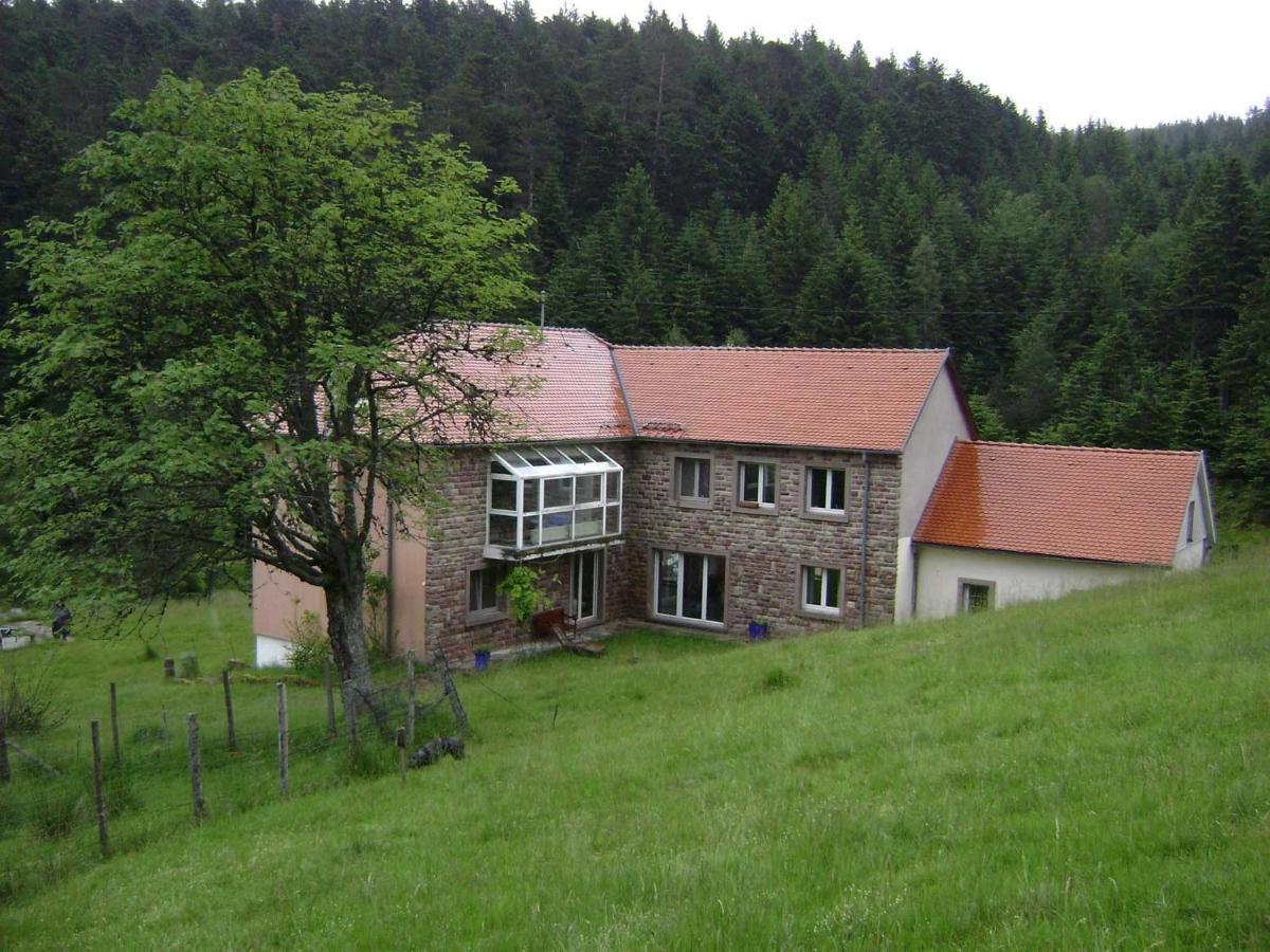 Gite Gretel De La Ferme Du Schneeberg Wangenbourg-Engenthal Exterior foto