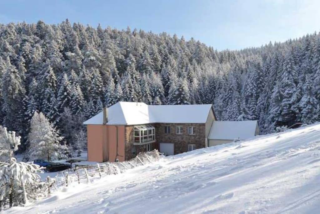Gite Gretel De La Ferme Du Schneeberg Wangenbourg-Engenthal Exterior foto