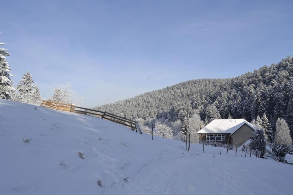 Gite Gretel De La Ferme Du Schneeberg Wangenbourg-Engenthal Exterior foto